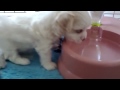 Click here to watch this video れみの育児29