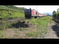 Eisenbahn Pommern ad Mosel, NIAG Re481, BR181, 2x BR189, 4x BR143, BR425, 2x BR426