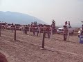 Carrera de Caballos en Palomino Valley, Nevada