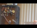 Annoying Angry Bird Cockatiel Squawk Sound Sounds Calls - Birds Squawking Noise Pets Noises Jazevox