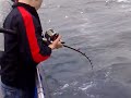 DANNYS SECOND CONGER DANNYS SECOND CONGER