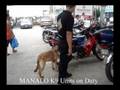 MANALO K9 Units on Duty
