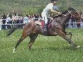 Horse, Race, Agios Georgios, Mesologi, Aitoloakarnania. Horse, Race, Agios Georgios, Mesologi, Aitoloakarnania.