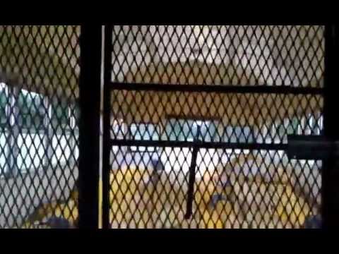 how to perform ldh test