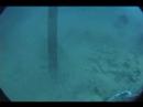 Save Our Wrecks