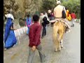 See Video