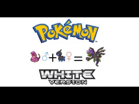 how to find secret id pokemon black