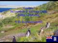 Awesome HF 17 meters DX - New York City mobile to Falkland Islands (N2YDD/m to VP8YLG)