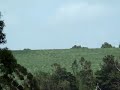 El FIC en Sierra de los Padres, Mar del Plata