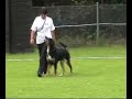 Sandra Dittrich - 1.Platz - dhv Jugendmeister Obedience 2008