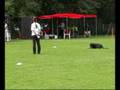 Sandra Dittrich - 1.Platz - dhv Jugendmeister Obedience 2008