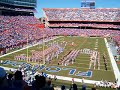 here-come-the-gators-.html