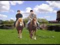 videos de Middlesbrough Town Centre Farm