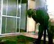 videos de EL CHOLO VOMITO
