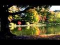 Discover Darlington