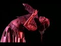 cía patricia passo   danza fusión oriental