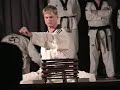 Taekwondo-the fighting-lubos