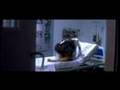  - MovieZen Video