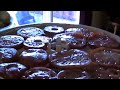 Dried tomatoes