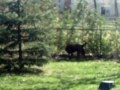 A Sunday afternoon at Coopersville!