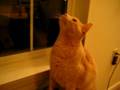 videos de 005