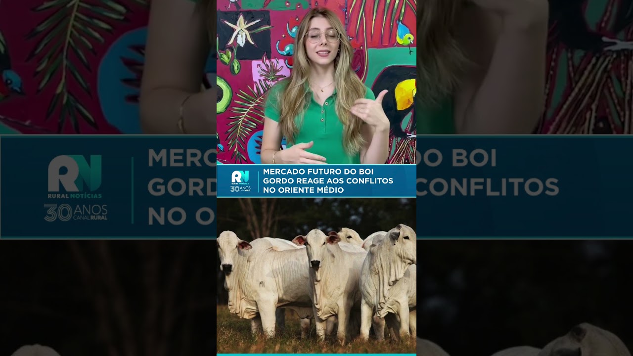 Mercado futuro do boi gordo reage aos conflitos no Oriente Médio