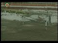 SFZ_ZOB_20.wmv