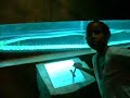 Cosi Ocean Room