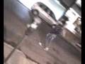 videos de EsCeNaS De uNa NoChE