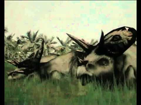Torosaurus