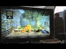LBP Sony Gamer\