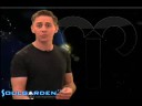 Aries - Thursday - 8/28/2008 - Soul Horoscopes