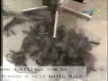 Momento Amy Whinehouse 10 Melhor Qualidade