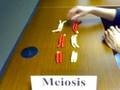meiosis