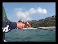 Fishing Gulp Sandworms