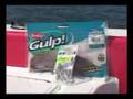 Fishing Gulp Sandworms