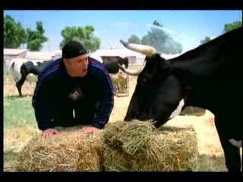 KEVIN JAMES IS UDDERLY DELICIOUS