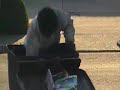 Homeless Guy ( Going Through My Trash Cans) LOL Homeless Guy ( Going Through My Trash Cans) LOL