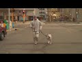 Rocky Style Training - Wallace the Pit Bull