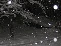 Snow update Connor