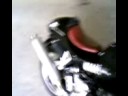moto guzzi 1100 sport corsa black mamba...avi