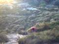 videos de trilha pedra do sino, teresopolis, rj, dom 27 ago 2006 - 22 o pai e o vento