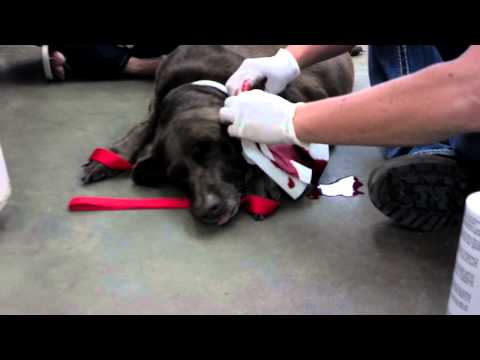 how to drain hematoma