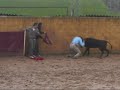 Capea en Villaviciosa de Od�n 19/04/08 (momentos clave)