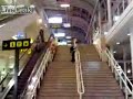 Nude Escalator Slide Gone Wrong