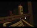 videos de Raystown Lake - 2008-06-15 - The Cabin 2