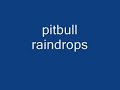 pitbull raindrops