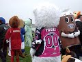 Mascot Grand National 2008