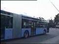 City Buses in Munich (Germany) - Part 2/2