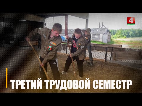 На Гомельщине продолжается третий трудовой семестр видео